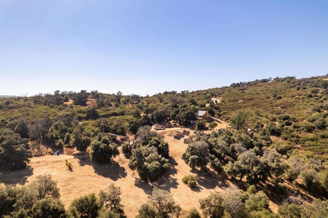 25770 E Grade Rd, Santa Ysabel, CA 92070 - view of woods