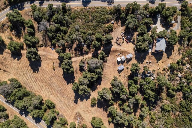 25770 E Grade Rd, Santa Ysabel, CA 92070 - aerial overview of property's location
