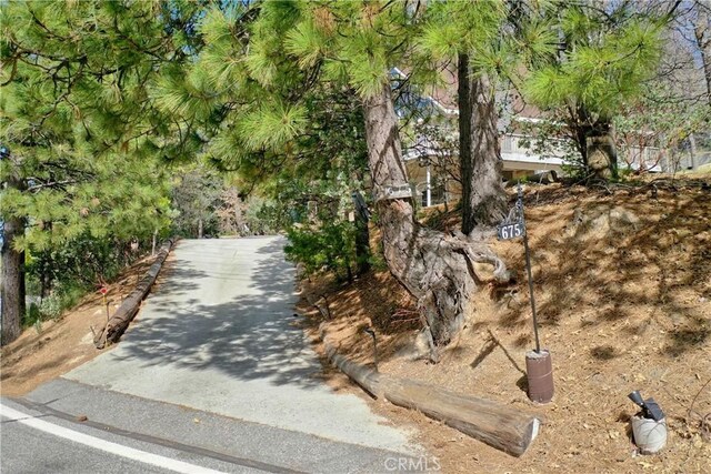 675 Grass Valley Rd, Lake Arrowhead, CA 92352 - view of property's community