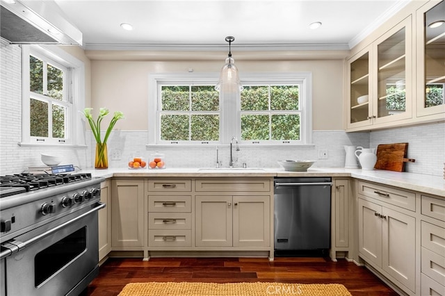 kitchen with a sink, appliances with stainless steel finishes, range hood, and plenty of natural light