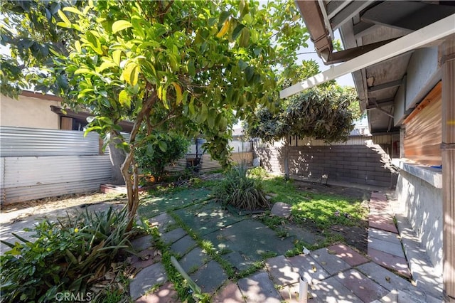 view of yard with a patio area and a fenced backyard