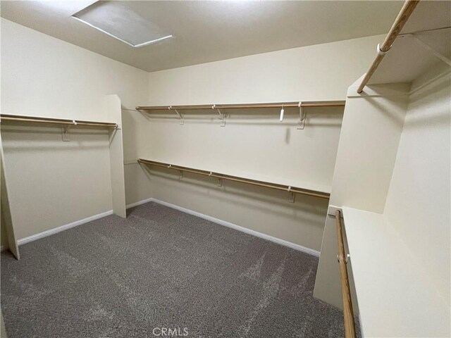 32706 Blue Mist Way, Wildomar, CA 92595 - walk in closet featuring attic access and carpet floors