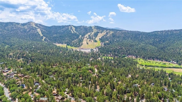 746 Villa Grove Ave, Big Bear City, CA 92314 - photo 26