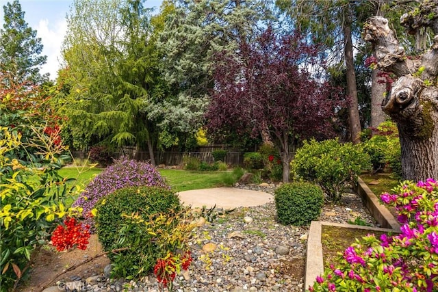 view of yard with fence and a patio area