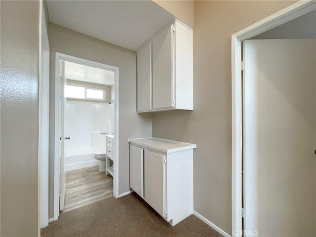 43856 Windsor Pl, Lancaster, CA 93536 - hallway featuring carpet and baseboards