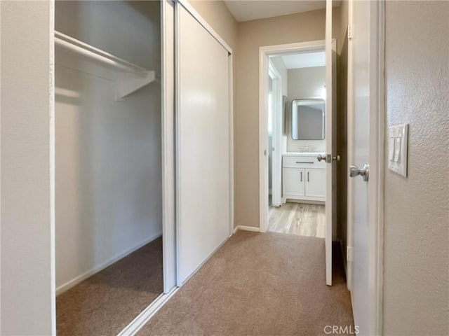closet featuring a sink