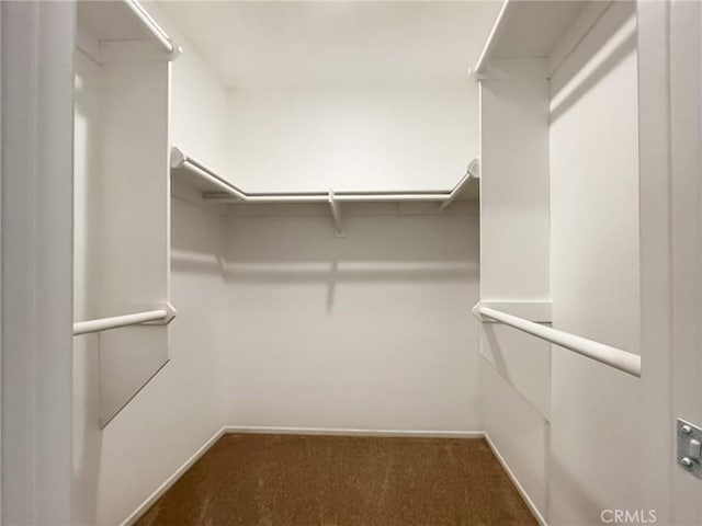 43856 Windsor Pl, Lancaster, CA 93536 - walk in closet with carpet flooring