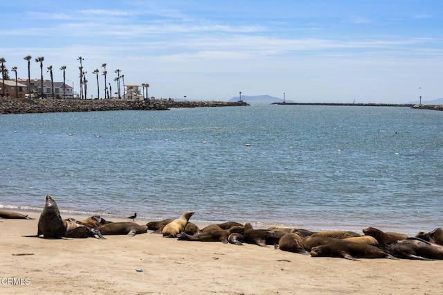 276 Highland Dr, Oxnard, CA 93035 - water view