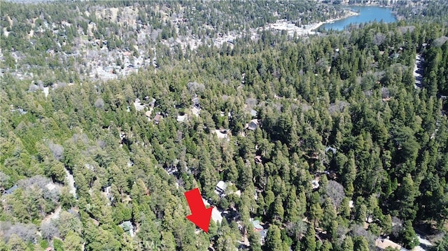 874 Fern Dr, Crestline, CA 92325 - aerial view of property's location featuring a forest and a large body of water