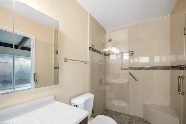 full bathroom with toilet, vanity, and a tile shower