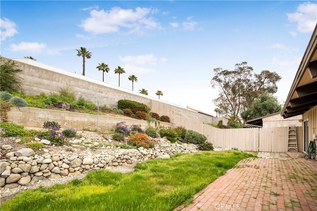 view of yard with a fenced backyard and a patio