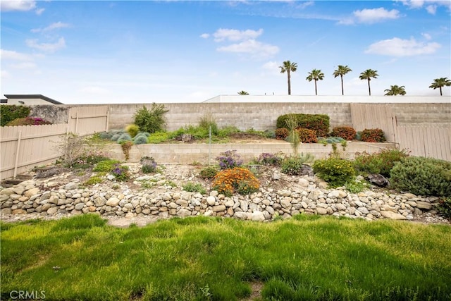 view of yard with a fenced backyard
