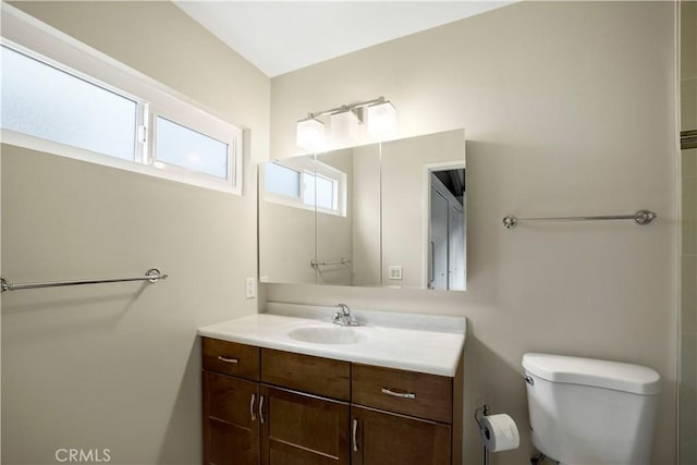 bathroom with toilet and vanity