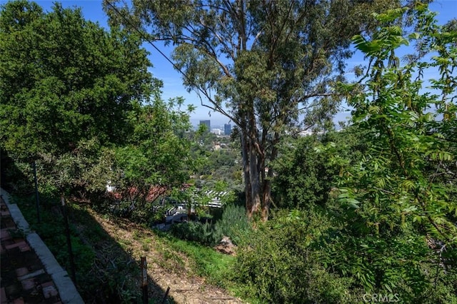3124 Goodview Trl, Los Angeles, CA 90068 - view of nature