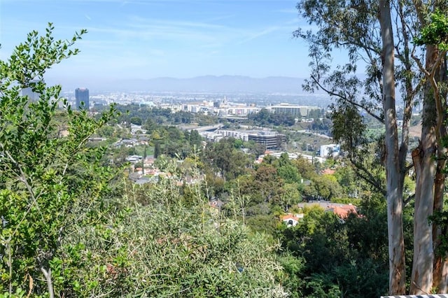 3124 Goodview Trl, Los Angeles, CA 90068 - mountain view featuring a view of city
