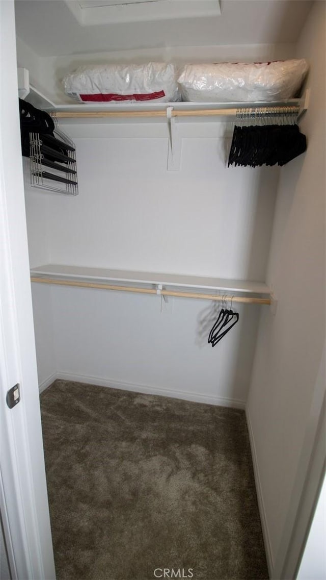 walk in closet with carpet flooring