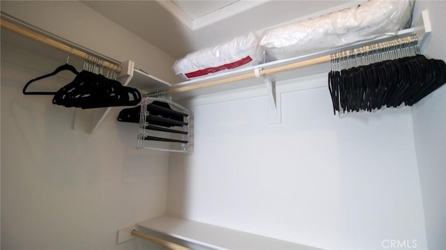 view of walk in closet