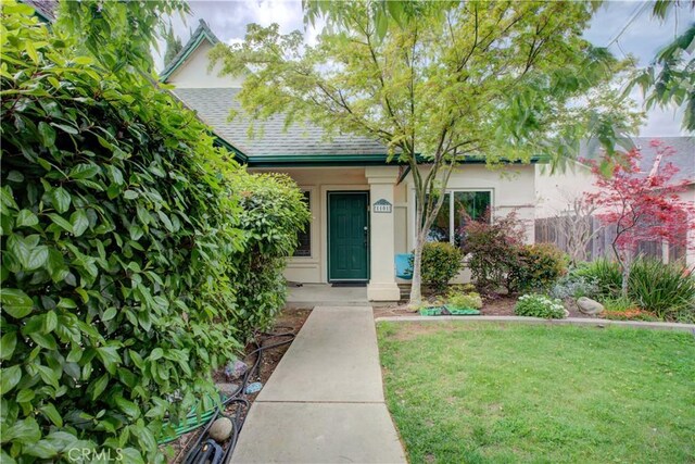 view of exterior entry featuring stucco siding, a shingled roof, and a yard