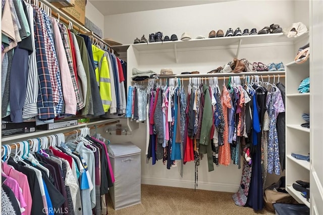 spacious closet featuring carpet