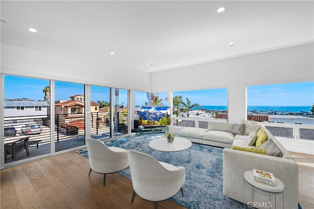 33781 Copper Lantern St, Dana Point, CA 92629 - living area featuring a water view, recessed lighting, and wood finished floors