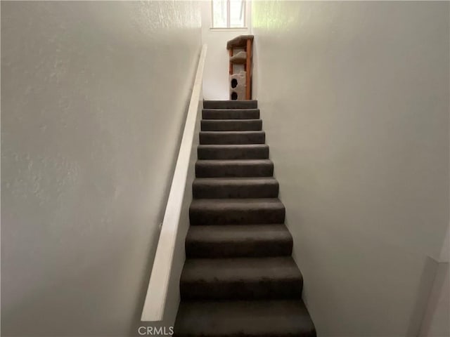 8118 Cove Ln, Bradley, CA 93426 - photo 12