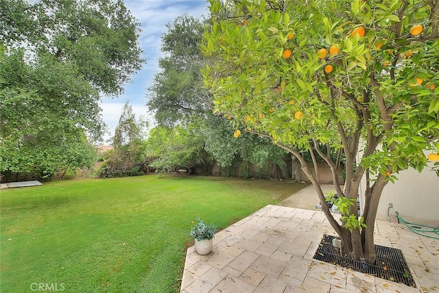 view of yard with a fenced backyard and a patio