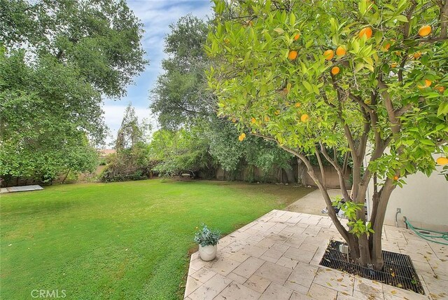 605 Estrella Ave, Arcadia, CA 91007 - photo 15