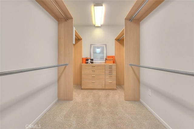 spacious closet featuring light colored carpet