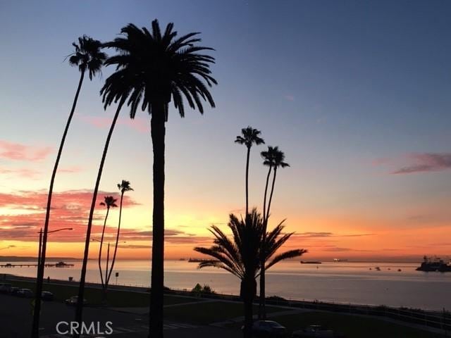 2601 E Ocean Blvd Unit 205, Long Beach, CA 90803 - water view