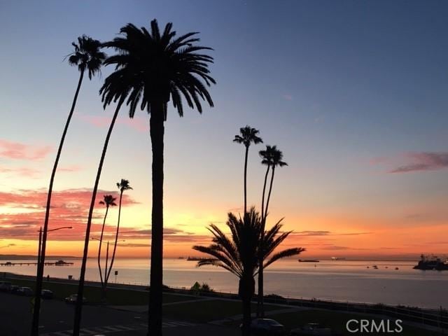 2601 E Ocean Blvd Unit 205, Long Beach, CA 90803 - photo 26