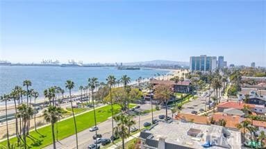 2601 E Ocean Blvd Unit 205, Long Beach, CA 90803 - water view