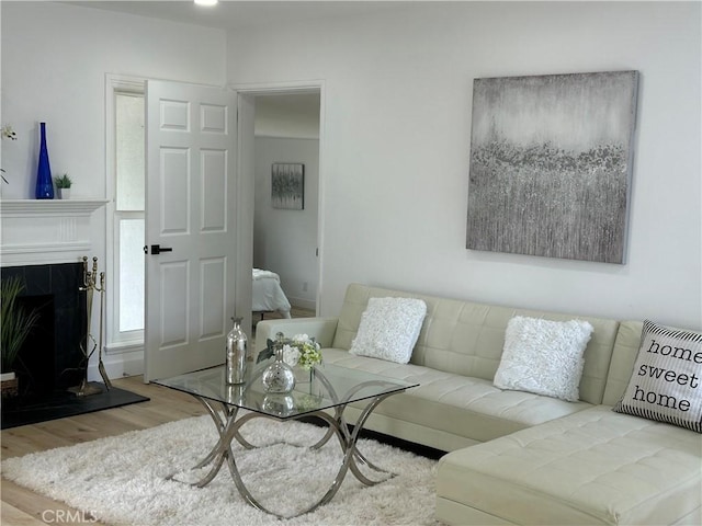 living area featuring wood finished floors and a fireplace