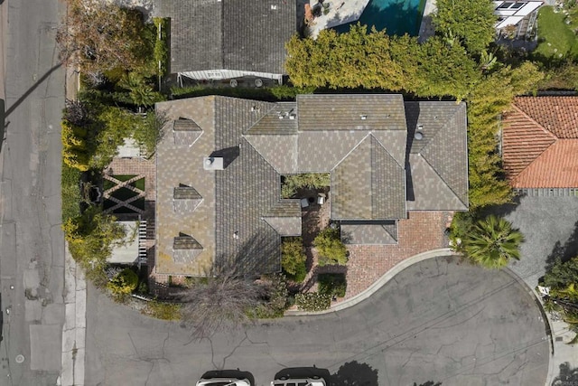 bird's eye view