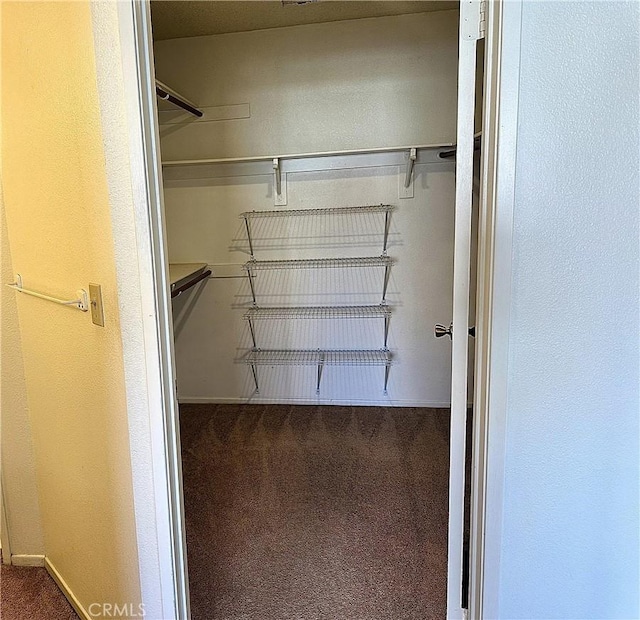 19238 Olive Way, Apple Valley, CA 92308 - spacious closet featuring carpet floors