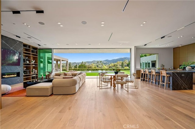 living room featuring a wealth of natural light, a wall of windows, a mountain view, and light wood-type flooring
