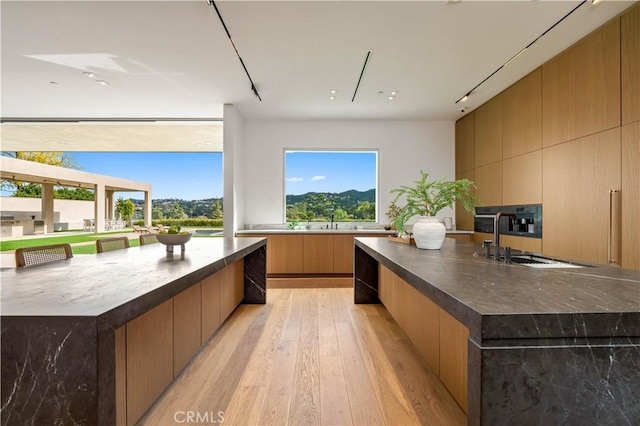 kitchen featuring modern cabinets, light wood finished floors, a spacious island, and a sink