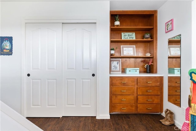 interior space with a closet, baseboards, and dark wood-style floors