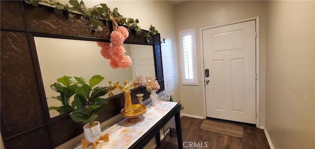 entrance foyer with baseboards and wood finished floors