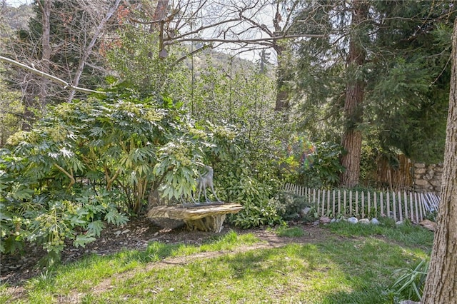 29 Bear Dr, Mt Baldy, CA 91759 - view of yard featuring fence