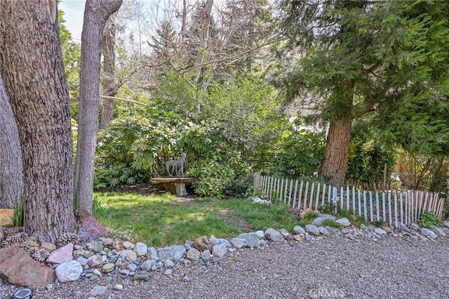 29 Bear Dr, Mt Baldy, CA 91759 - view of yard featuring fence