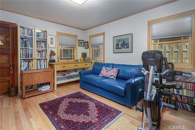29 Bear Dr, Mt Baldy, CA 91759 - living area featuring wood finished floors and ornamental molding