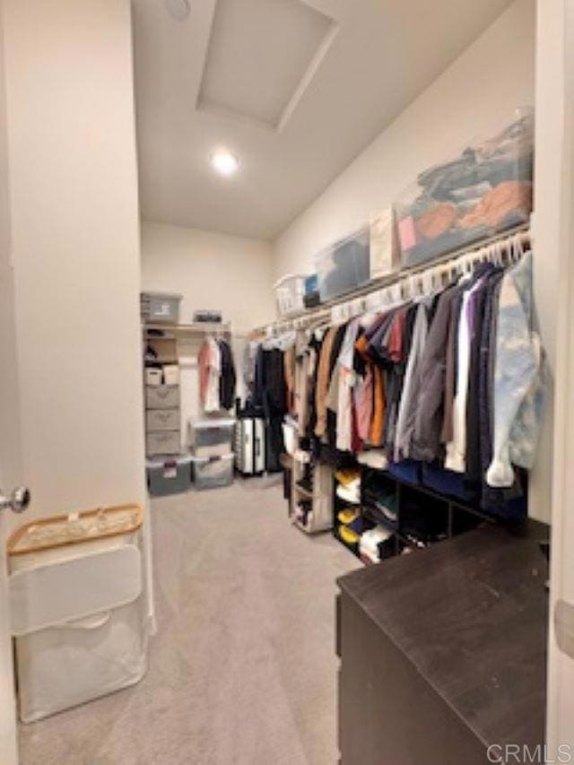 walk in closet featuring attic access and carpet flooring
