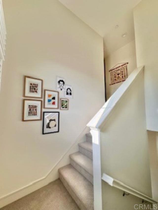 stairway featuring carpet floors
