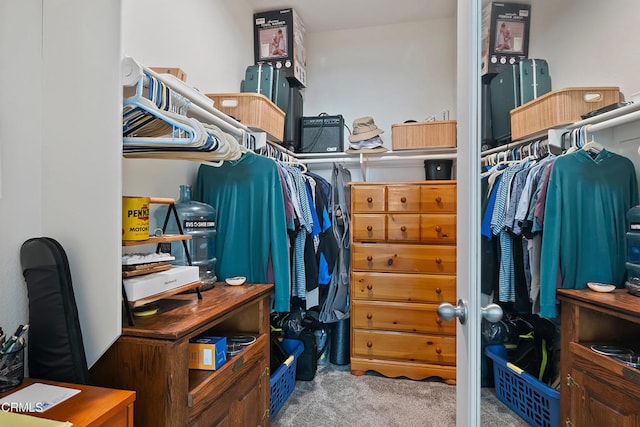 spacious closet with carpet floors