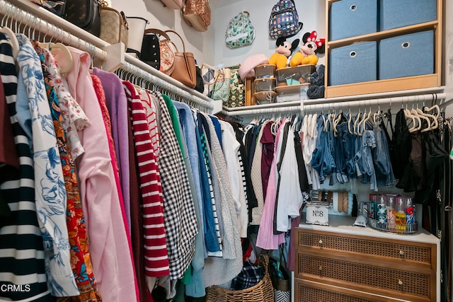 view of spacious closet