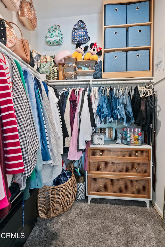 walk in closet featuring carpet floors