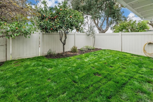 328 Countrywood Ln, Encinitas, CA 92024 - view of yard