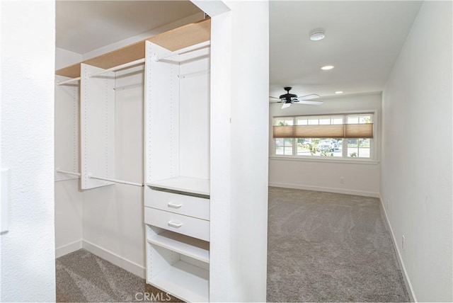 spacious closet with carpet floors and a ceiling fan