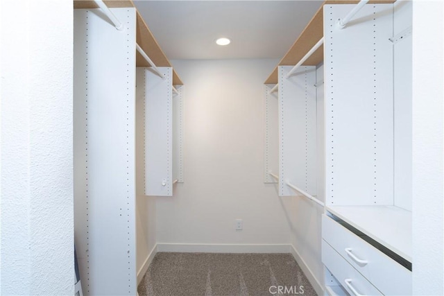walk in closet with carpet floors
