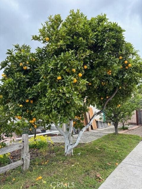 508 Launa Ln, Arroyo Grande, CA 93420 - view of side of home